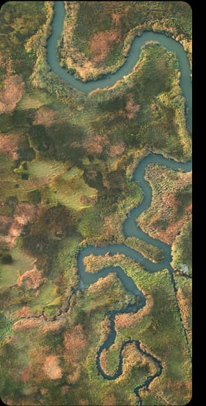 Slide 0 Image